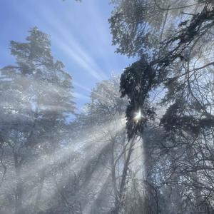 孕妇孕交❌❌❌Ss
